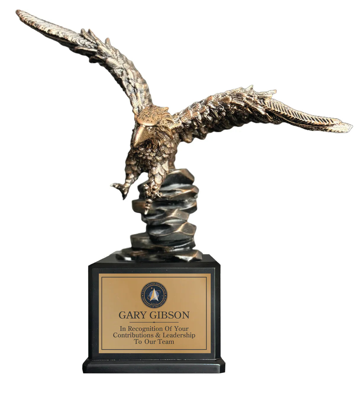 Landing Eagle Award